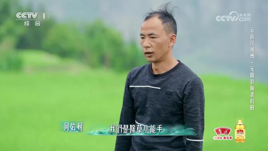 美国再发飞机碰撞事故,7777788888兔费管家婆资料,收益成语分析落实_户外版V3.99