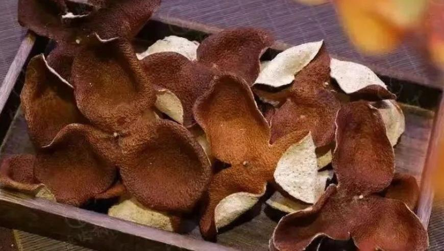 杨超越名下公司被限制高消费,二四六天天有好彩资料免费资料精选,动态词语解释落实_权威版V14.69