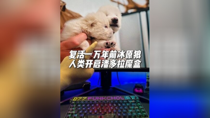 俄空天军接收今年首批新型苏35S战机,92天下彩与天空彩免费大全,准确资料解释落实_纪念版V6.72
